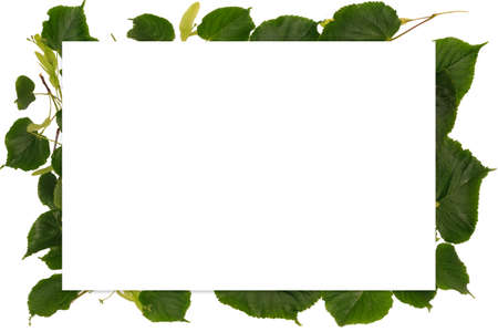 Frame with spring with linden-tree leaves, on white background