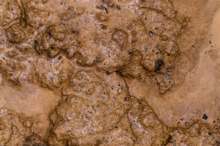 Clay texture after a rain where the land eroded.の写真素材