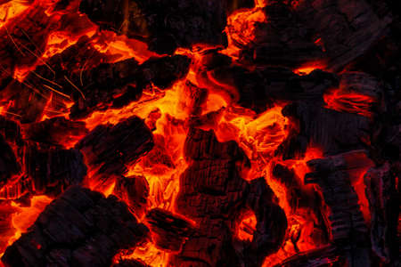 Fire. Wood burning in the fire. Burning coals. Charcoal. Burning horn.