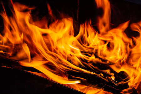 Fire. Wood burning in the fire. Orange flame. Tongue of flame.