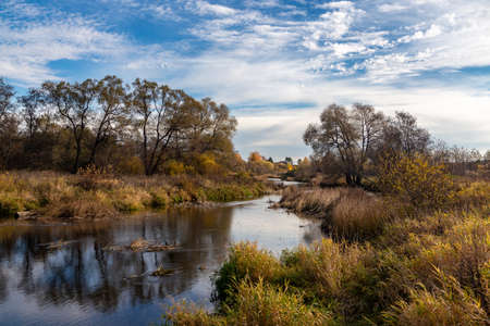 Autumn landscape. View of the river and autumn forest. Withered autumn vegetation. Russia, Moscow...