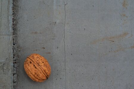 Walnut shell on grey concrete texture representing healthy foodの写真素材