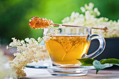 Elder flower tea の写真素材
