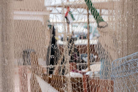 white fishing netの写真素材