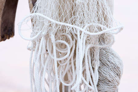 white fishing netの写真素材