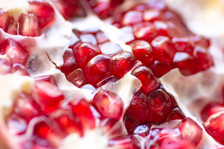 Pomegranate seeds close up