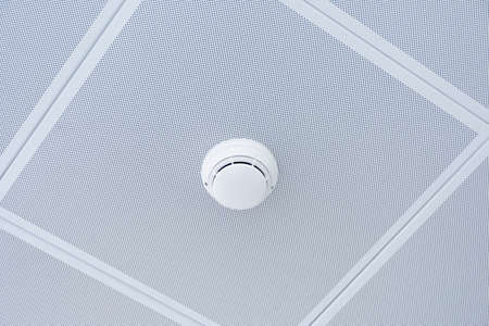 Fire alarm and ceiling mounted smoke detector
