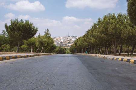 wonderful trees with cloudy sky in king Hussain gardens in Amman in Jordan - view of Amman cityの写真素材