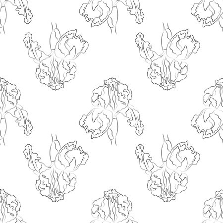 Botanical Floral pattern.Iris. Floral background. Large flowers. Graphic line drawing. Seamless pattern.のイラスト素材