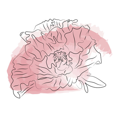 Flower. Continuous Line Art. Vector Drawing. Floral Minimalistic Style. Botanical Print. Nature Symbol.のイラスト素材