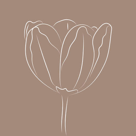 Line art line art flower for decoration design. Abstract vector background. simple line drawing. floral pattern element.のイラスト素材