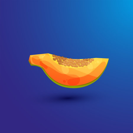 Slice of papaya fruit. Summer exotic fruit in cartoon style with seeds. Half of Papaya.のイラスト素材