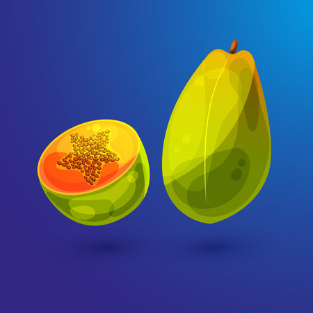 Summer exotic fruit in cartoon style. UX UI. Papaya, whole fruit and half. Vector illustrationのイラスト素材