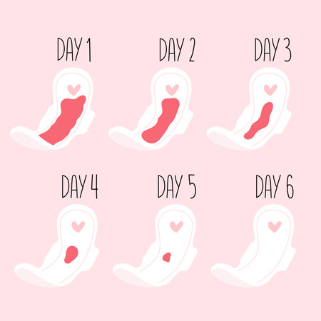 Bleeding Menstrual Period on Pad day by day. Female pad with Blood. Vector illustration.
のイラスト素材