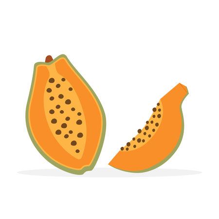 Papaya fruit. Exotic fruit. Half and quarter papaya. Vector illustration in flat styleのイラスト素材