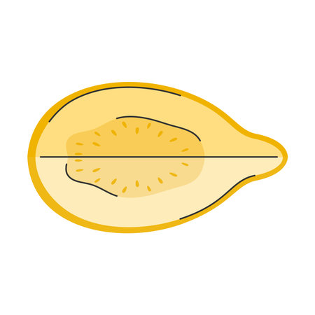 Hand drawn yellow half guava in doodle style. Top view. Cut piece of exotic fruit
のイラスト素材