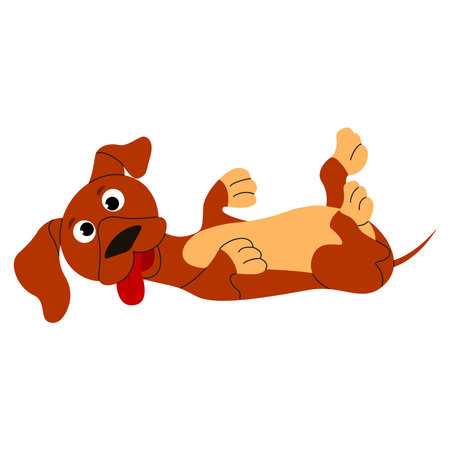 Cute cartoon hand drawn dachshund puppy dog lying on his back and playingのイラスト素材