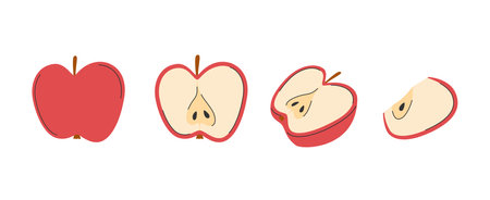 Red apple hand drawn set. Whole apple, chopped and cutted fruit, half, slice of apple. &#xA;のイラスト素材