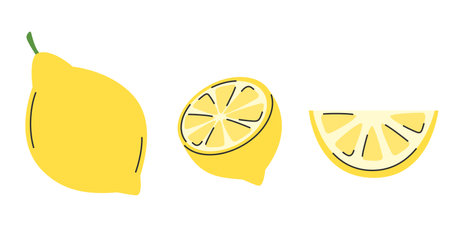 Lemon set. Whole acid citrus fruit, cutted half and  slice. Collection of lemon fruit in hand drawn doodle style&#xA;のイラスト素材