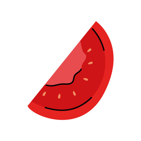 Simple drawing of red tomato slice in hand drawn doodle style with seedsのイラスト素材