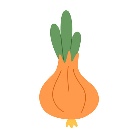 Detailed hand drawn onion, perfect for culinary projects and kitchen related designs&#xA;のイラスト素材