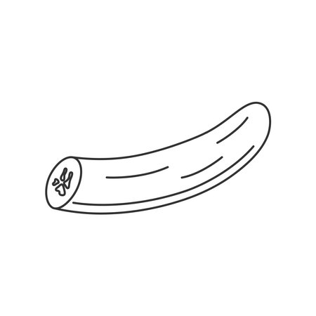 Peeled banana icon without peel. Hand drawn tropical outline cutted fruit in doodle styleのイラスト素材
