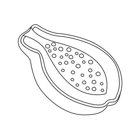 Outline papaya icon, featuring seeds and fruit halves. Minimal contour vector illustrationのイラスト素材