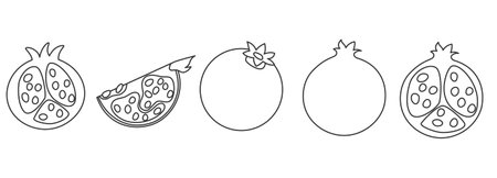 Set of pomegranate whole, half, cut, slice  with seed details  in a simple contour design
のイラスト素材