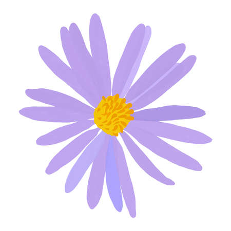 Purple aster flower icon isolated on white background. Gouache sticker of flower with yellow centerのイラスト素材