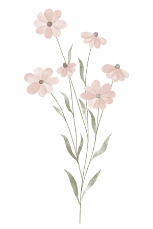 Watercolor trendy flower. Vector illustration for web, app and print. Elegant feminine shape floristic isolated daisies flowers. Garden, botanical, minimalistic floral element.のイラスト素材
