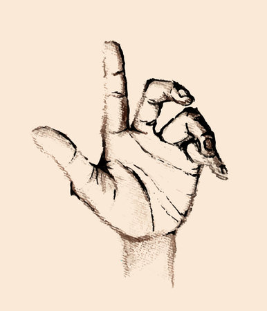 Hand drawn pencil sketches of hands gestures. Beautiful vector drawing set. Group of symbols for web and print.のイラスト素材