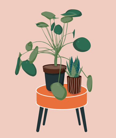 Pilea and Sansevieria houseplants on the table illustration. Scandinavian cozy home decor. Flat vector colorful cartoon icon illustration of house plant isolated.のイラスト素材