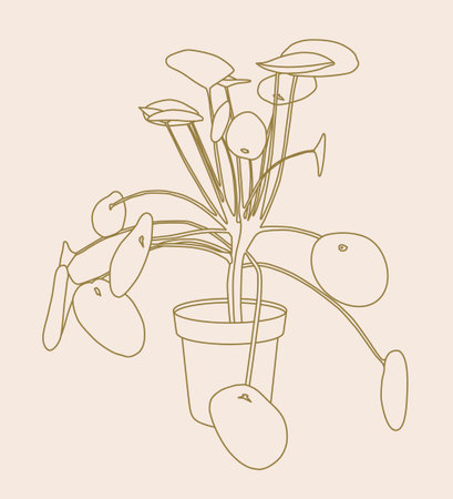 Pilea house plant line art illustration. Scandinavian cozy home decor silhouette symbol. Flat vector cartoon icon illustration of house plant isolated.のイラスト素材