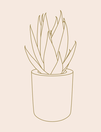 Sansevieria succulent house plant line art illustration. Scandinavian cozy home decor silhouette symbol. Flat vector cartoon icon illustration of house plant isolated.のイラスト素材