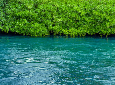 Aqua and Greenの写真素材