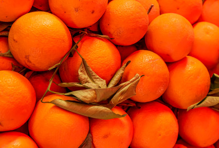 Apple, orange, lemon, melon, watermelon, cabbage, carrot, kiwi, Strawberry, Cherry, Pumpkin, Egg, Butter, Pear, Tangerine. Image of vegetables and fruits sold in the open market.の写真素材