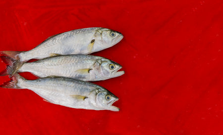 fresh fish on ice