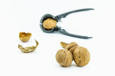close-up walnuts on white background
