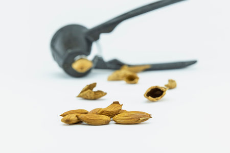 close-up almonds on white backgroundの写真素材