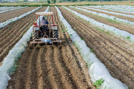 Tractor plowing the field with seedbed cultivator in Thailandの写真素材