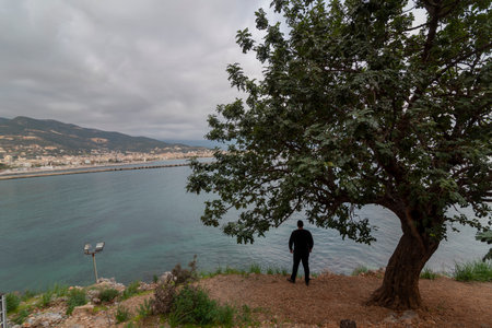 Man standing under a tree looking at the sea in a cloudy dayの写真素材