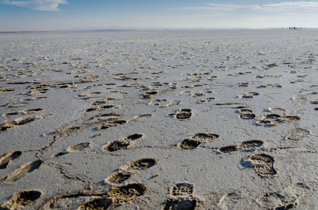Footprints in the mud at low tide, Salar de Uyuni, Boliviaの写真素材