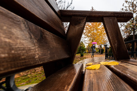 Rainy autumn day in the city park. Fallen yellow maple leaves on the bench.の写真素材
