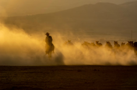Silhouette of a cowboy riding a horse in the desert at sunsetの写真素材