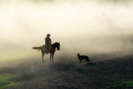 Cowboy and dog on the field in the fog at dawn.の写真素材