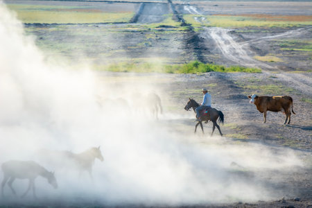 Horsemen in the steppe.の写真素材