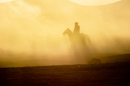 Silhouette of a cowboy on horseback in the desert at sunsetの写真素材
