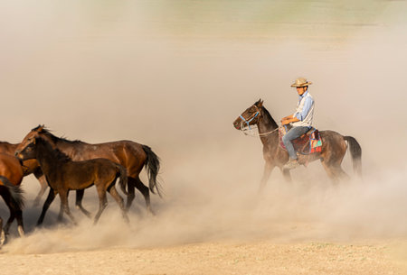 Rodeo in the desert of Guadalajara, Mexicoの写真素材