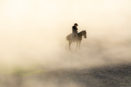 horse and rider in the fog at sunrise, beautiful photo digital pictureの写真素材