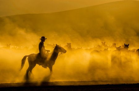 Cowboy riding a horse in the desert during the sunset, silhouetteの写真素材